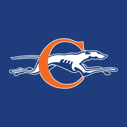 Clayton Greyhounds Читы