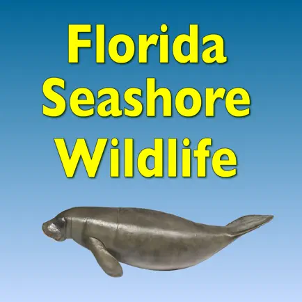 Florida Seashore Wildlife Читы