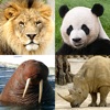 Icon Animals Quiz - Mammals in Zoo