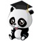 Classroom panda is a full service childcare & school management system