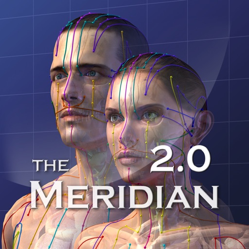 The Meridian Icon