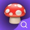 Instantly identify mushrooms