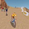 Mountain Bike 3D game