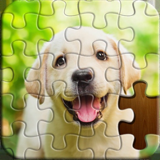 Jigsaw Puzzles Master