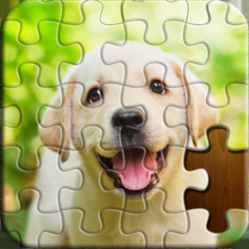 Jigsaw Puzzles Master iOS App