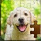 Jigsaw puzzle is a photo puzzle game that requires assemblage of interlocking photo pieces