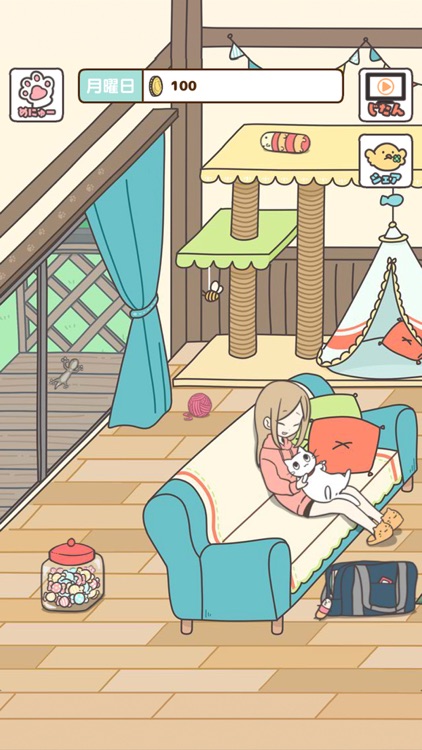 飼い猫ぐらし