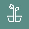 BloomBox Your Garden Delivered
