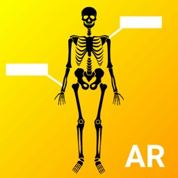 Human Anatomy AR - HUANAR