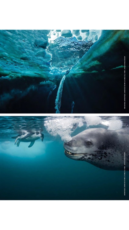 Photo Solution Magazine screenshot-3