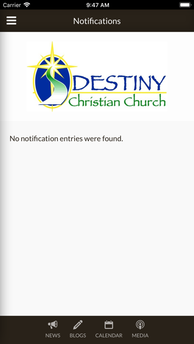 Destiny Online screenshot 2