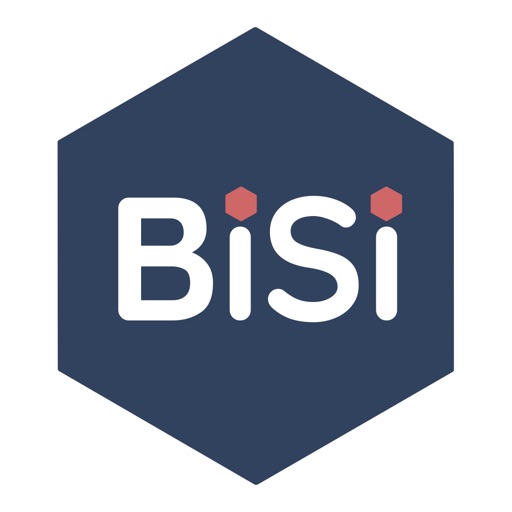 BiSi (Build it. Sustain it.)