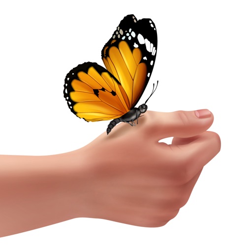 Sweet Butterfly Stickers