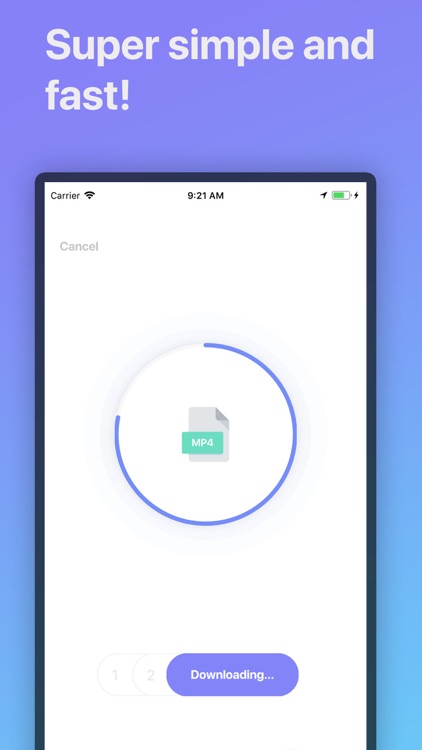 The Video Converter