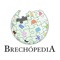 No App Brechópedia, você tem acesso a uma lista de brechós e consegue acessar suas informações detalhadamente, desde endereço, horário de funcionamento e descrição do brechó