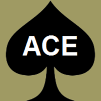 Ace Taxis Bognor Regis