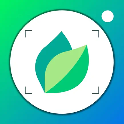 Leafsnap plant identification Читы