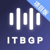 ITBGP-项目版
