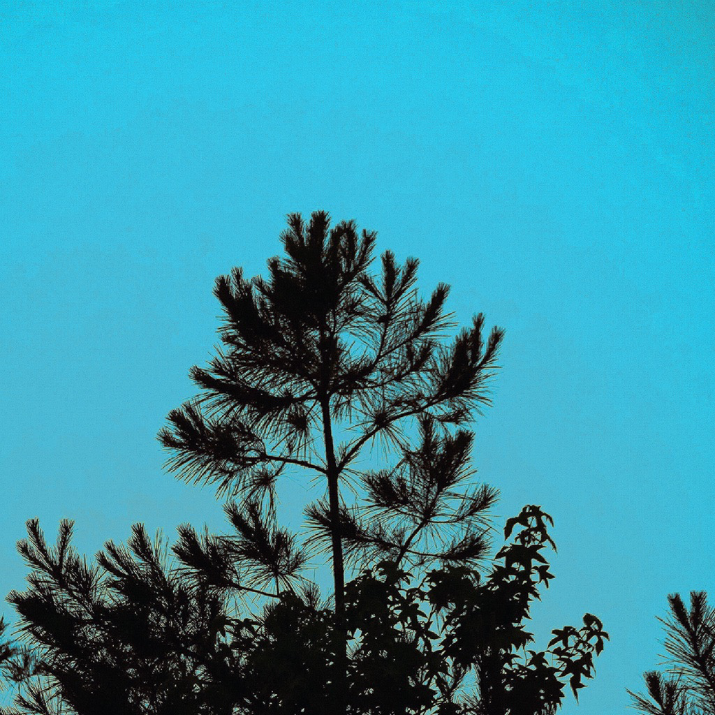 Get Scrambled Image for iOS, iPhone, iPad Aso Report