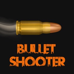 Bullet Shooter - Bullet man