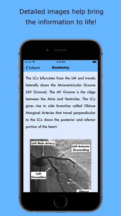 RCIS Study Guide