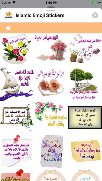Islamic Emoji Stickers screenshot-7