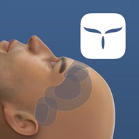  Neurosimulator Vol.I Application Similaire