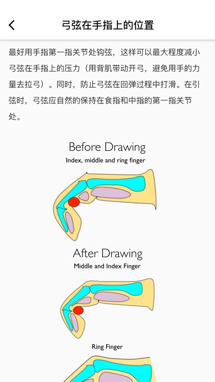 金教练射箭教学 screenshot-5