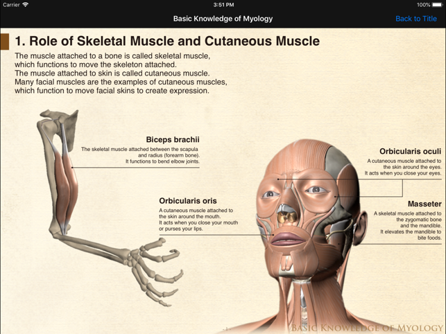 DS ANATOMY HEAD & NECK(圖5)-速報App