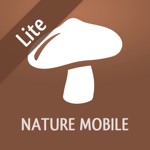 Mushroom LITE - Field Guide Download