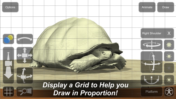 Tortoise Mannequin screenshot-3