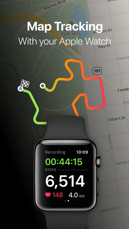 StepsApp Pedometer