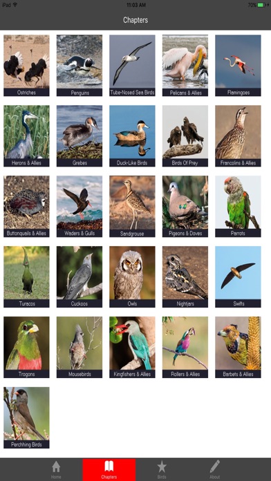 How to cancel & delete Birding In Southern Africa from iphone & ipad 1