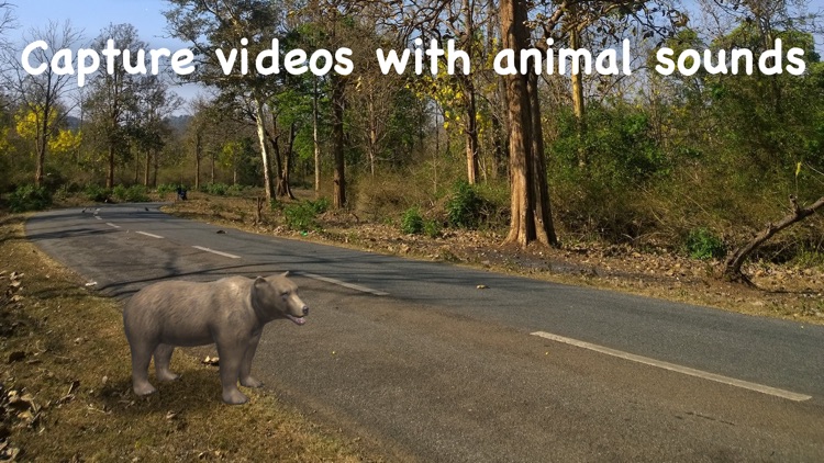 Wildlife AR