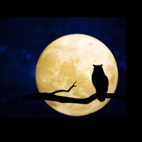 Dark Mode for  browser