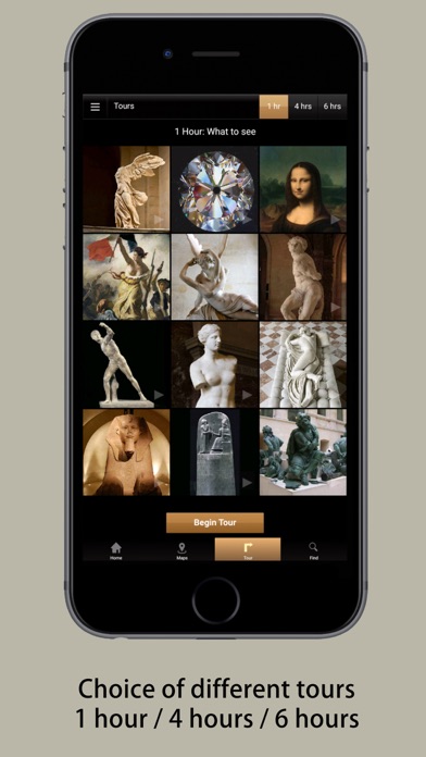 How to cancel & delete Louvre Visitor Guide from iphone & ipad 4