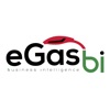 eGasBI