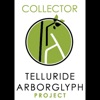 Telluride Arborglyph Collector