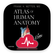 Netters Atlas of Human Anatomy