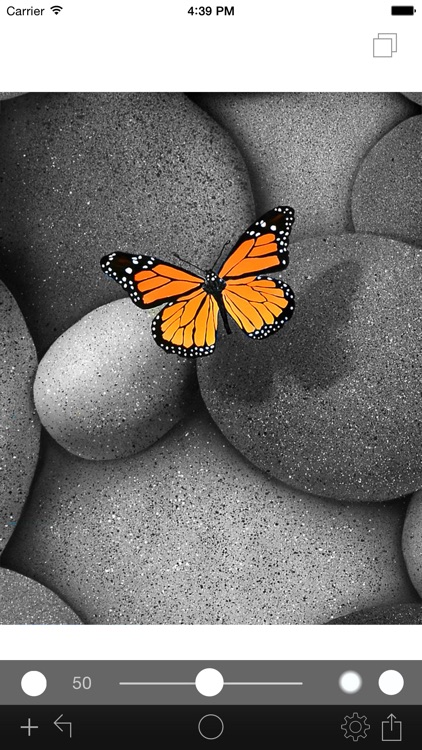 Photo Color Painter screenshot-4