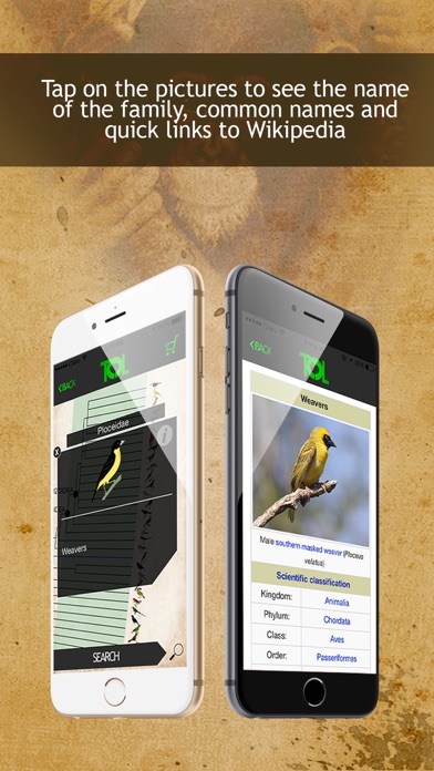 How to cancel & delete Tree Of Life - PRO from iphone & ipad 3