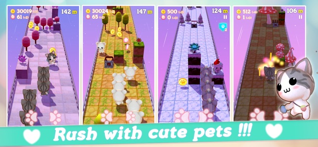 Pet Pet Rush