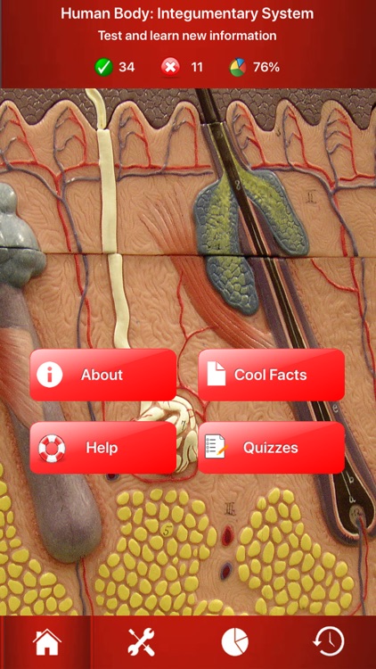 Integumentary System Trivia