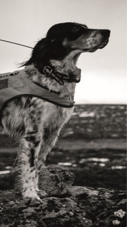 Ultracom NEXT screenshot-6