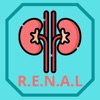 Urology RENAL Nephrometry