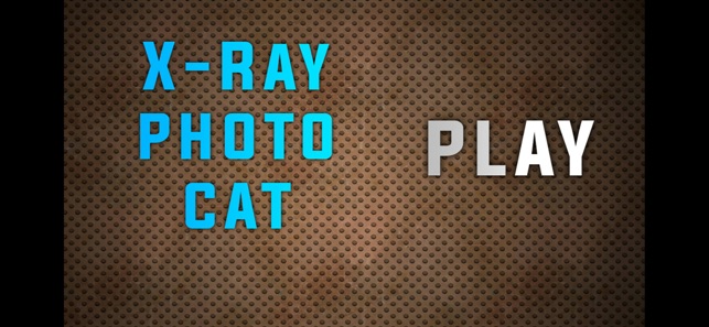 Simulator X-Ray Photo Cat(圖1)-速報App