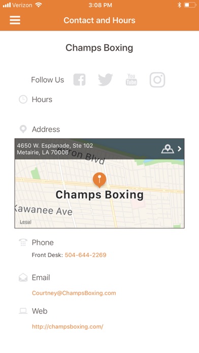 CHAMPS Boxing screenshot 4