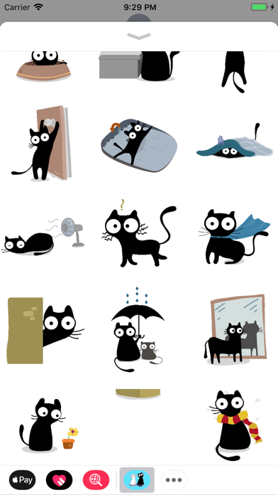 Black Kitten Animated Stickers screenshot 2