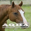 AQHA