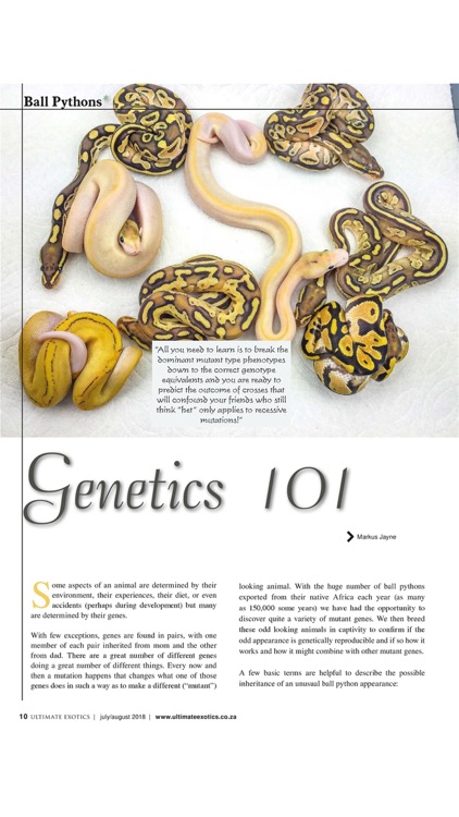 Ultimate Exotics Magazine